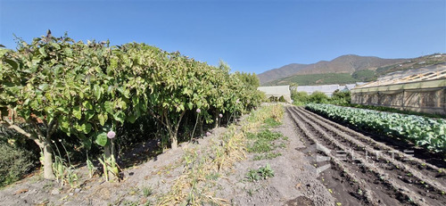 Tu Refugio Soñado En Quillota Te Espera, Parcela En Venta.-