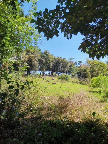 Imagen 6 de 14 de Bella Propiedad, Paz Y Naturaleza, Tranquilidad, Tierras Mor