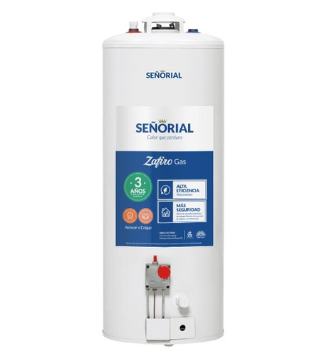 Termotanque Señorial 85l Zafiro Tsz-85 Colgar Apoyar Superio