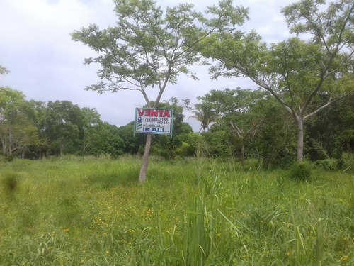 Venta Terreno 5,000 A 30,000 M² Frente Al Río Juana Moza Tuxpan Veracruz