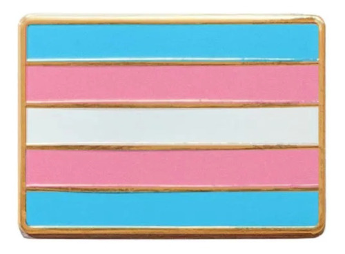 Broche Bandeira Lgbt  Trans