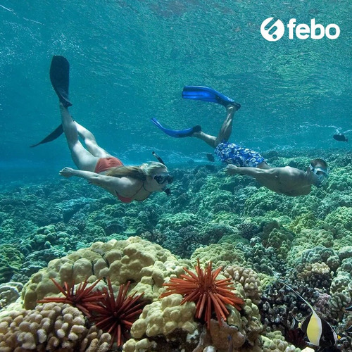 Imagen 4 de 5 de Set Completo De Buceo Snorkel Tuny2 National Geographic Azul