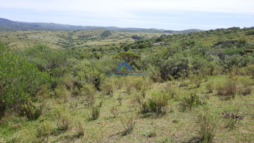 Venta Chacra 5ha Carape Maldonado
