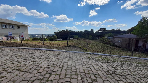 Imagem 4 de 4 de Terreno - Belvedere - Ref: 8868 - V-8868