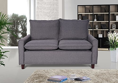 Nosotros Orgullo Muebles Blaire Tela Moderna Loveseat Tela G