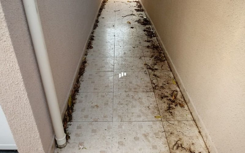 Imagem 6 de 15 de Sobrado Em Condomínio Com Quintal Em Praia Grande Sp.
