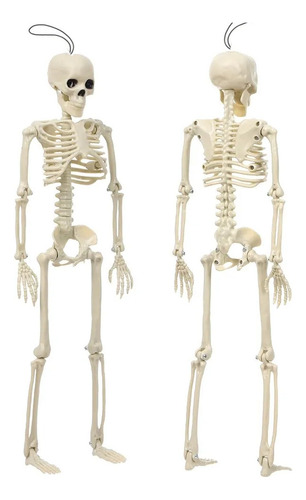 Calaveras Colgantes Para Decoración De Fiesta De Halloween,