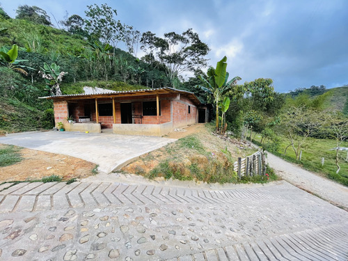 Venta De Finca Pequeña En San Roque, Antioquia 