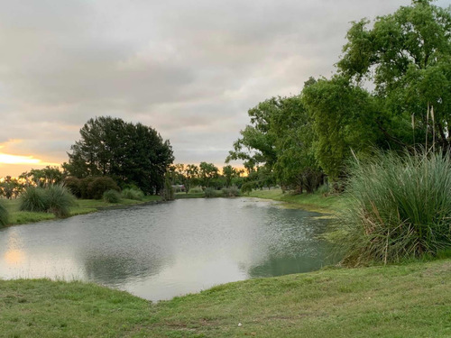 Lote Posadas De Los Lagos