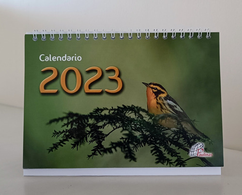 Calendario De Escritorio 2023 Pack 2