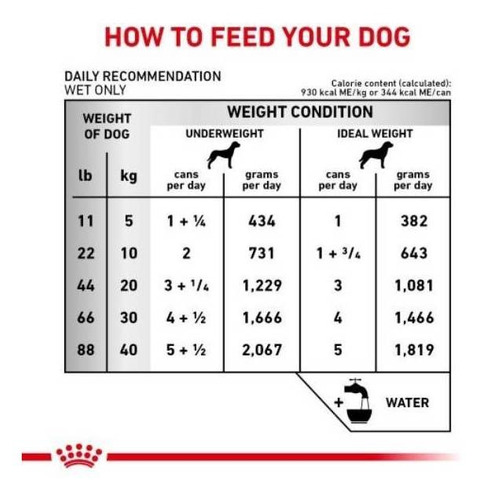 24 Pack Renal Support D Lata 370g Royal Canin