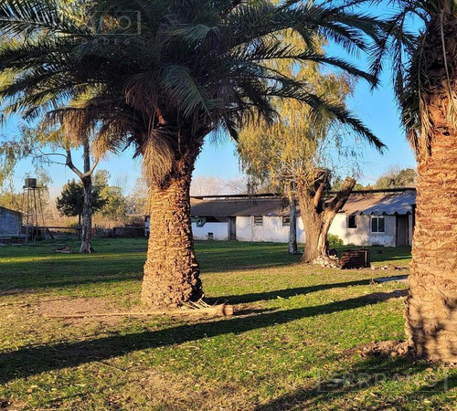 Terreno Campo En Venta En Parada Robles, Exaltación De La Cruz