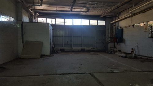 Imagen 2 de 11 de Galpon En Venta En José Ingenieros
