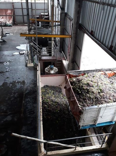 Imagen 3 de 9 de Bodega - Palmira
