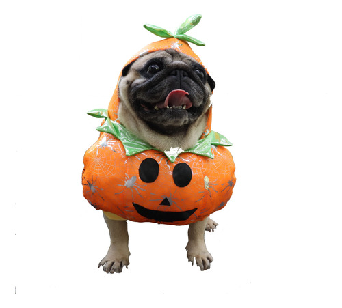 Ropa De Halloween Para Calabaza Para Mascota