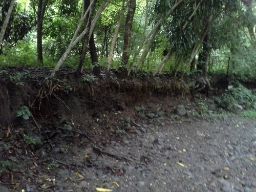 Imagen 6 de 14 de Terreno De Abangares