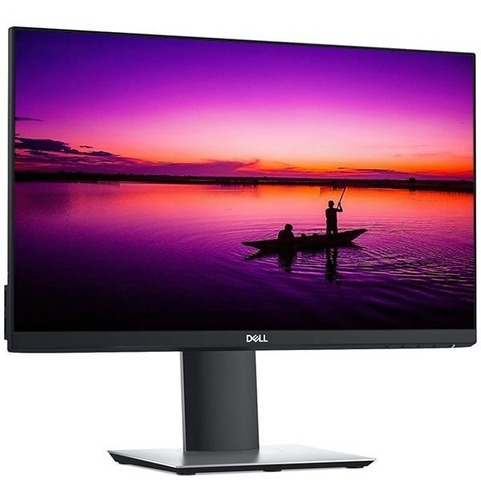 Dell 22  Monitor P2219h