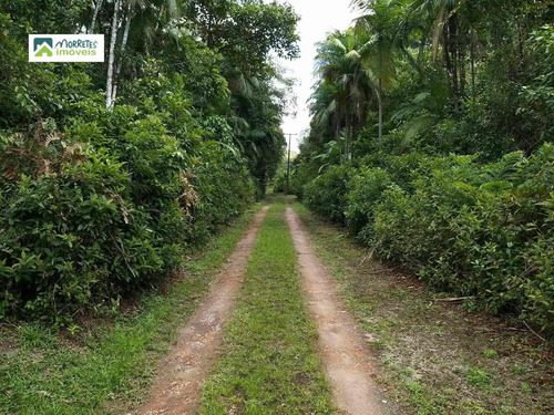 Imagem 2 de 24 de Chácara À Venda No Bairro América De Cima - Morretes/pr - 269