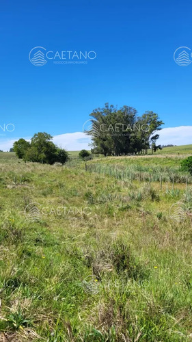 Venta Chacra Jose Ignacio Con Costa Arroyo Anastasio