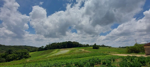 Imagem 10 de 15 de 11o- Terreno De 500m2 Em Cotia Agende Sua Visita Via Whatsapp!