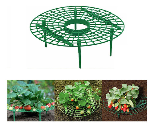 Práctico Soporte Para El Cultivo De Fresas Para Trepar Plant