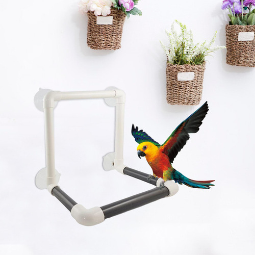 Pet Bird Parrot Shower Perch Parrot Stand Con 4 Ventosas
