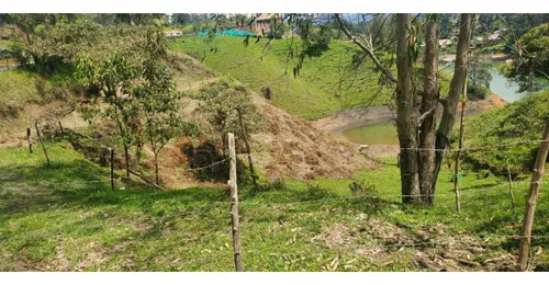 Rhbr-10475 (lote , Guatape)