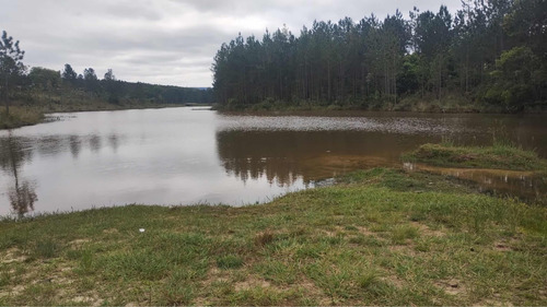 Terreno Em Bofete - Sp, 307 Metros Quadrados