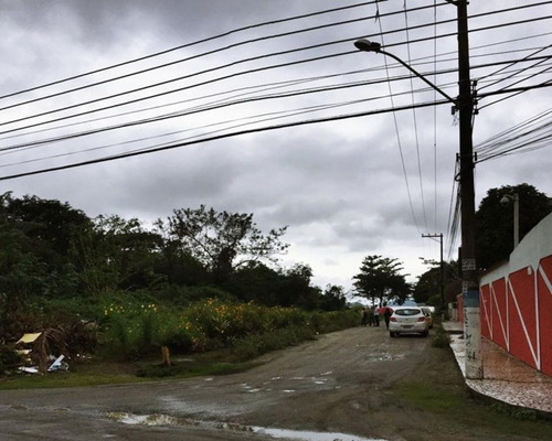 Imagem 4 de 8 de Terreno Com 644m² Em Coroa Grande - 218 - 34209908