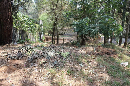 Imagen 6 de 6 de Terreno En Esquina Dentro De Fraccionamiento