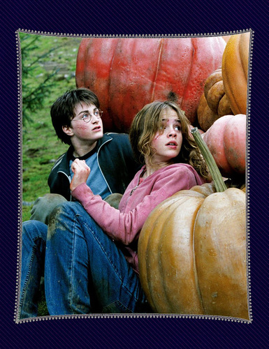 Imagen 5 de 7 de Harry Potter: Los Archivos De Las Películas 4. Los Alumnos D