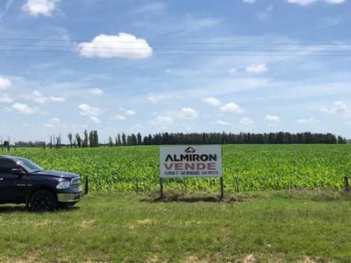 Vendo Campo Aldao 8 Ha Sobre Ruta 18 