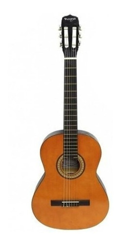 Guitarra Acústica Vizcaya Arcg44 Nt