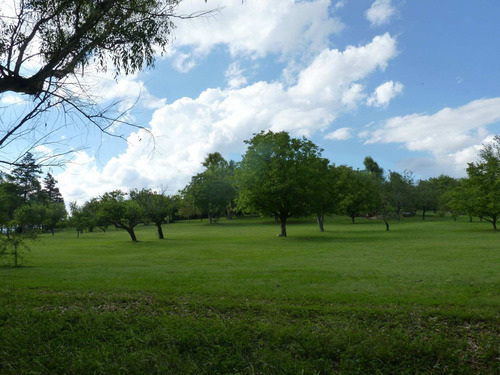 Imagen 14 de 30 de Se Venden 10 Ha En Valle Hermoso Con Servicios