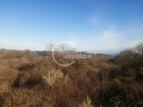Sitio Venta Rocas Del Mar - Los Molles