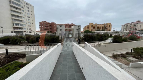 Imagen 13 de 16 de Serena Pacífico Arriendo Marzo A Diciembre La Serena