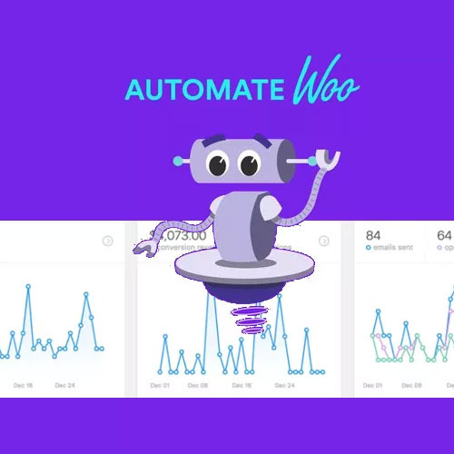 Automatewoo  Marketing Automation For Woocommerce Permanent