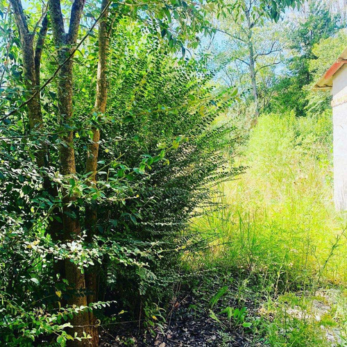 Imagen 1 de 24 de Terreno En Open Door