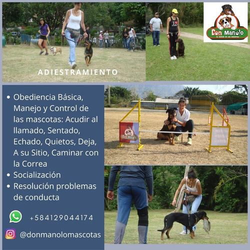 Imagen 4 de 8 de Hospedaje Canino,peluqueria Canino, Felina, Educadora Canina