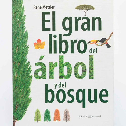 Libro El Gran Libro Del Árbol Del Bosque