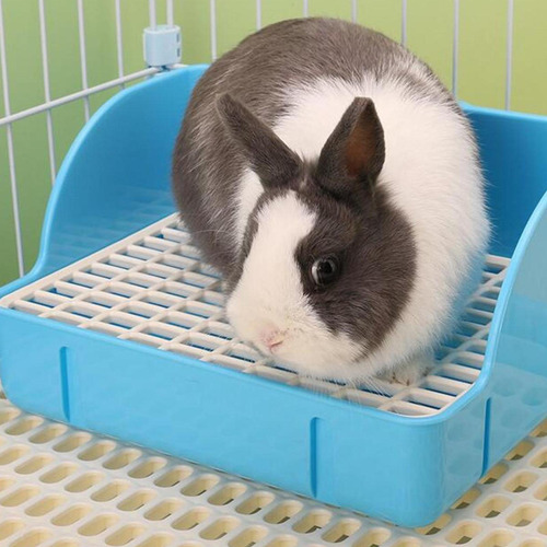 Bandeja De Arena Para Conejos, Orinal, Tren Para Azul