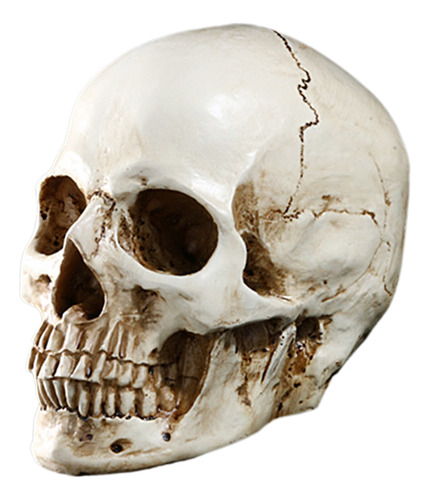 Lifesize 1: 1 Prop Model White Human Resin