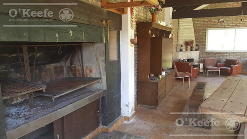 Imagen 12 de 22 de Chacra De 28 Has En Venta - Casco Y Producción