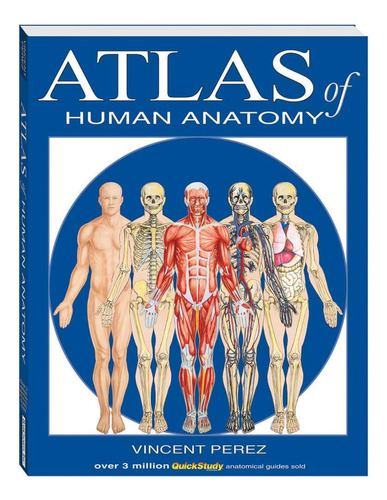 Libro:  Atlas Of Human Anatomy (quickstudy Books)