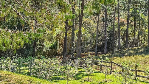 Maravilhoso Rancho De 90 Hectares - Ch0464