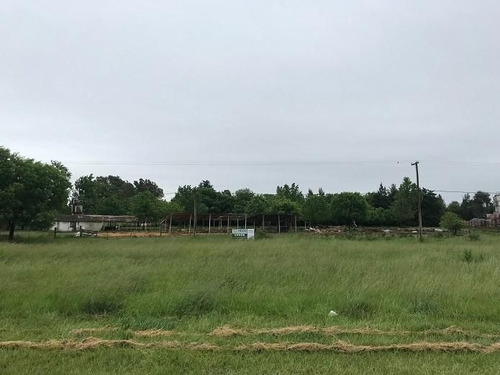 Imagen 7 de 10 de Lote | Ruta Prov. N° 41