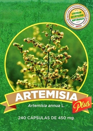 Imagen 2 de 3 de 240 Caps De Auténtica Artemisia Annua Orgánica
