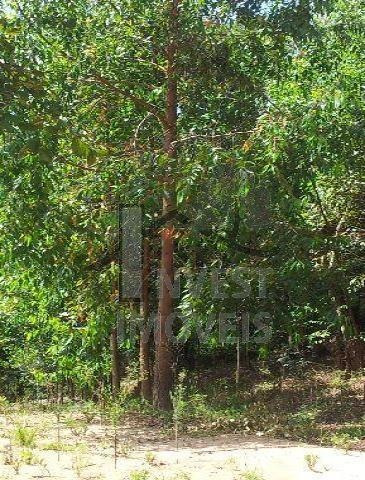 Imagem 6 de 8 de Cód 2618 - Lindo Sitio Com 48.000 M2 - 2618