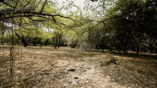 Lote En Venta En Peñalisa. Cod V16946
