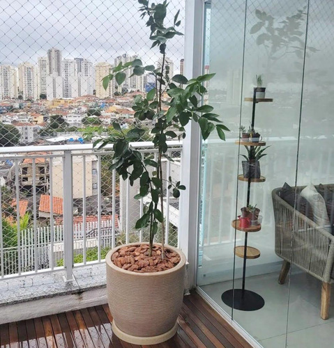 Vaso De Planta Frutifera Redondo De Polietileno 45x50 Areia